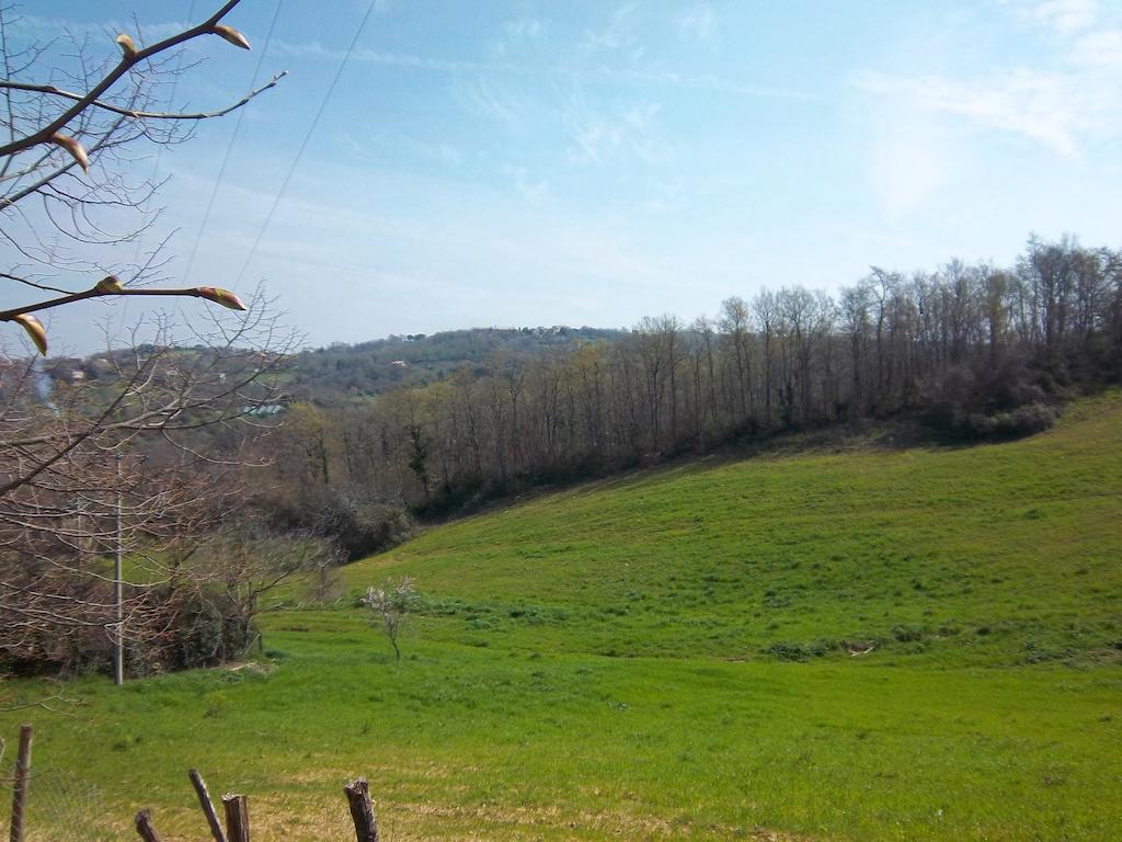 Agriturismo Norianino Montemerano Eksteriør billede
