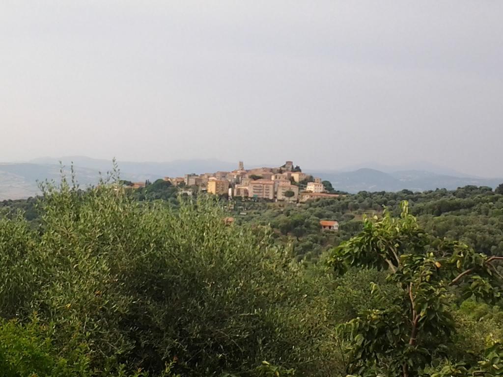 Agriturismo Norianino Montemerano Eksteriør billede
