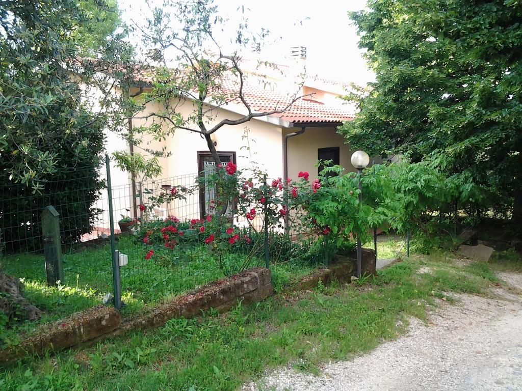 Agriturismo Norianino Montemerano Eksteriør billede